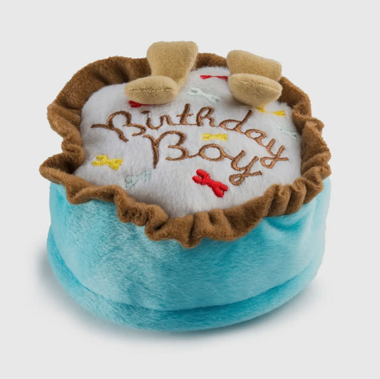 Birthday Boy Squeaker Cake Toy